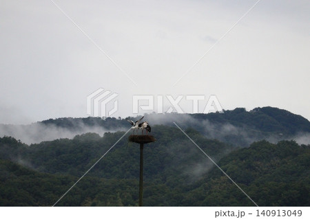霧に包まれた山間の巣とコウノトリ 霧に包まれた山間の巣とコウノトリ 140913049