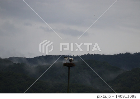 霧に包まれた山間の巣とコウノトリ 霧に包まれた山間の巣とコウノトリ 140913098