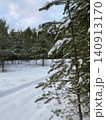 Snow Covered Pine Tree in Peaceful Winter Forest 140913170