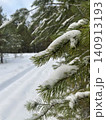 Close Up of Snow Covered Pine Branches in Winter Forest 140913193