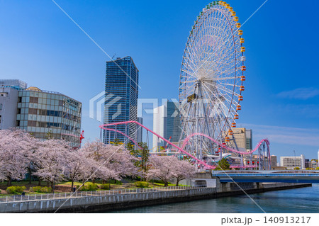 (神奈川県)横浜みなとみらい 満開の桜とビル群 (神奈川県)横浜みなとみらい 満開の桜とビル群 140913217