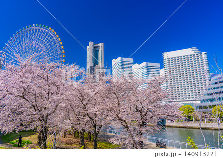 (神奈川県)横浜みなとみらい 満開の桜とビル群 (神奈川県)横浜みなとみらい 満開の桜とビル群 140913221