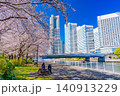 (神奈川県)横浜みなとみらい 満開の桜とビル群 (神奈川県)横浜みなとみらい 満開の桜とビル群 140913229