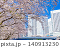 (神奈川県)横浜みなとみらい 満開の桜とビル群 (神奈川県)横浜みなとみらい 満開の桜とビル群 140913230