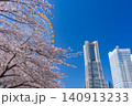 (神奈川県)横浜みなとみらい 満開の桜とビル群 (神奈川県)横浜みなとみらい 満開の桜とビル群 140913233
