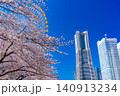 (神奈川県)横浜みなとみらい 満開の桜とビル群 (神奈川県)横浜みなとみらい 満開の桜とビル群 140913234