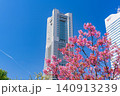 (神奈川県)横浜みなとみらい 満開の桜とビル群 (神奈川県)横浜みなとみらい 満開の桜とビル群 140913239