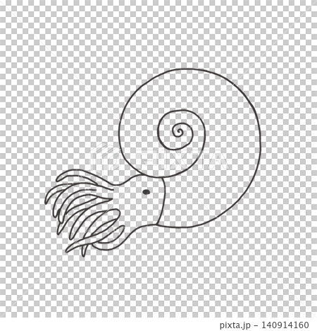 可愛的菊石插圖 可愛的菊石插圖 140914160
