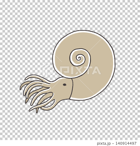可愛的菊石插圖 可愛的菊石插圖 140914497