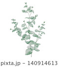 Vintage Watercolor Peony Tea Party Clipart Set Eucalyptus branch Botanical Collection PNG transparent background 140914613