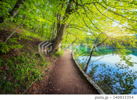 Path in beautiful forest near the lake at sunset in spring Path in beautiful forest near the lake at sunset in spring 140915354