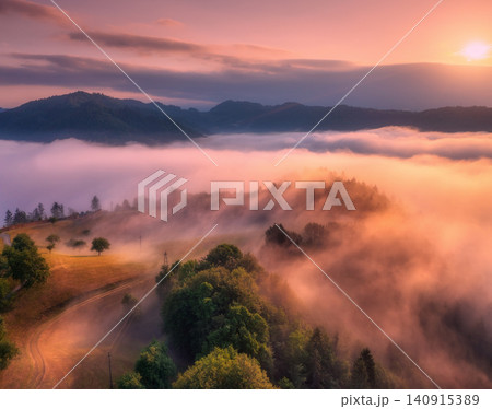 Aerial view of trees on meadow, mountains in pink low clouds Aerial view of trees on meadow, mountains in pink low clouds 140915389