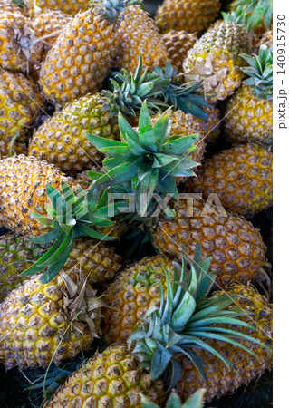 High angle view of many sweet golden pineapples with green crowns. High angle view of many sweet golden pineapples with green crowns. 140915730