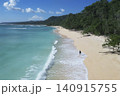 Aerial perspective capturing tranquil island coast with forest and ocean meeting 140915755