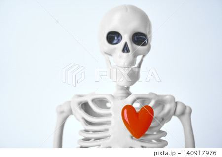 Exploring the Intriguing Intersection of Anatomy and Emotion Through a Skeleton Holding a Heart Exploring the Intriguing Intersection of Anatomy and Emotion Through a Skeleton Holding a Heart 140917976