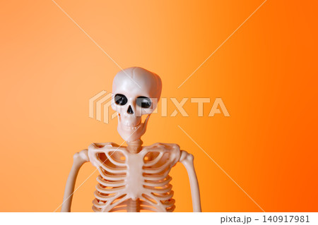 A Playful Skeleton Figure Against a Bright Orange Background Ideal for Halloween and Education A Playful Skeleton Figure Against a Bright Orange Background Ideal for Halloween and Education 140917981