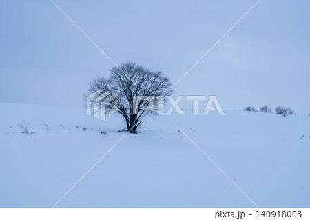 霧に包まれた美瑛の雪原に佇む一本木 霧に包まれた美瑛の雪原に佇む一本木 140918003