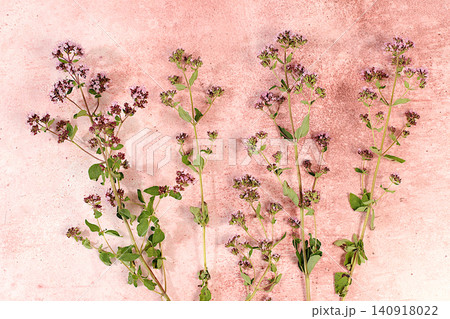 Oregano flowers on a concrete table, herbal remedies, alternative folk medicine concept, green pharmacy advertisement, collection of useful herbs for folk medicine, source of vitamins Oregano flowers on a concrete table, herbal remedies, alternative folk medicine concept, green pharmacy advertisement, collection of useful herbs for folk medicine, source of vitamins 140918022
