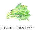 水彩で描いた春菊のイラスト 140918682
