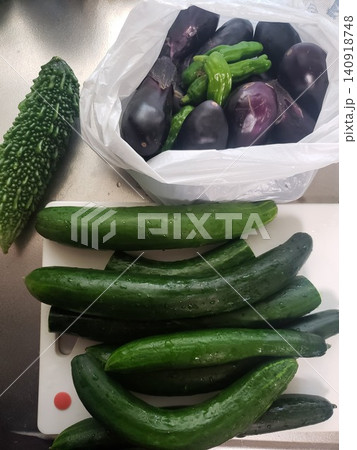 家庭菜園の夏野菜を収穫 家庭菜園の夏野菜を収穫 140918748
