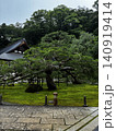 大きな松 140919414