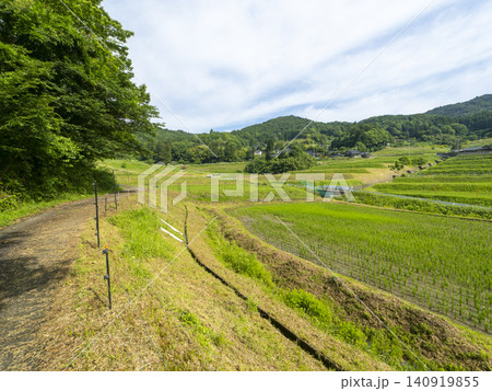 農道から見る猪名川町の棚田 農道から見る猪名川町の棚田 140919855