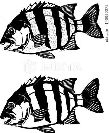 魚イラスト 「イシダイ」白黒カッティング用 ベクター形式 白背景(jpg以外は背景透過) 魚イラスト 「イシダイ」白黒カッティング用 ベクター形式 白背景(jpg以外は背景透過) 140920073