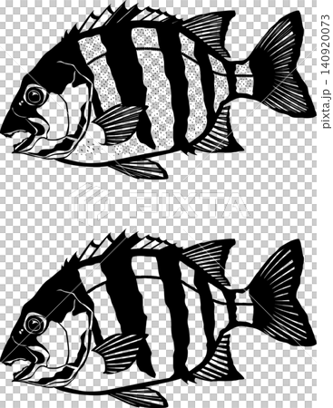 魚イラスト 「イシダイ」白黒カッティング用 ベクター形式 白背景(jpg以外は背景透過) 魚イラスト 「イシダイ」白黒カッティング用 ベクター形式 白背景(jpg以外は背景透過) 140920073