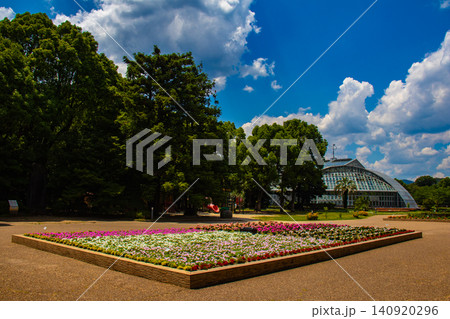 【京都風景】府立植物園 6月の梅雨の晴れ間に可憐に咲く花々 【京都風景】府立植物園 6月の梅雨の晴れ間に可憐に咲く花々 140920296