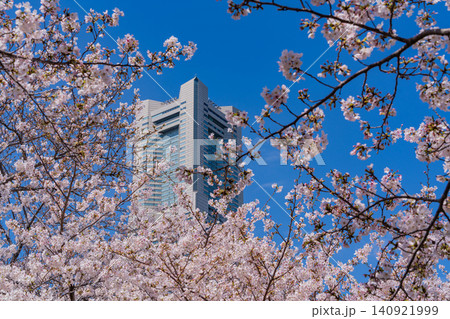 【神奈川県】横浜みなとみらい・汽車道の桜の向こうにランドマークタワー 【神奈川県】横浜みなとみらい・汽車道の桜の向こうにランドマークタワー 140921999