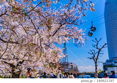 【神奈川県】横浜みなとみらい・汽車道の桜とエアキャビン 【神奈川県】横浜みなとみらい・汽車道の桜とエアキャビン 140922197