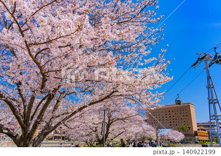 【神奈川県】横浜みなとみらい・汽車道の桜とエアキャビン 【神奈川県】横浜みなとみらい・汽車道の桜とエアキャビン 140922199