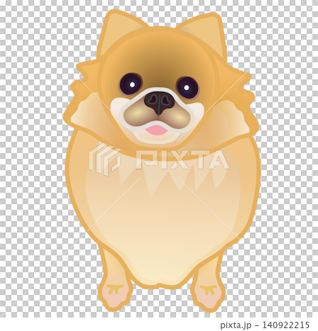 博美犬插圖 博美犬插圖 140922215