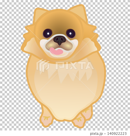 博美犬插圖 博美犬插圖 140922223