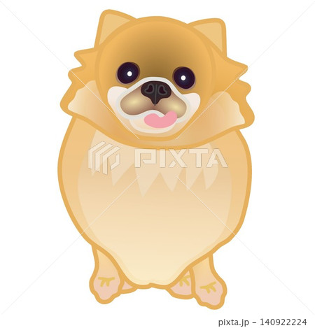 ポメラニアン犬のイラスト ポメラニアン犬のイラスト 140922224