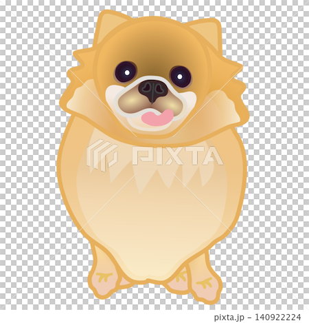 博美犬插圖 博美犬插圖 140922224