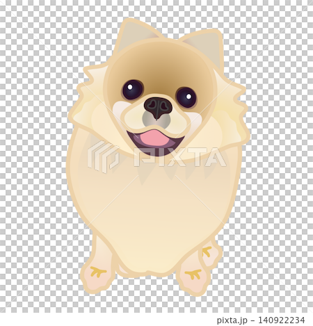 博美犬插圖 博美犬插圖 140922234