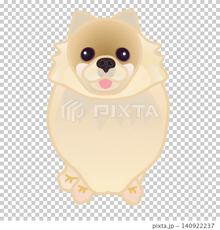 博美犬插圖 博美犬插圖 140922237