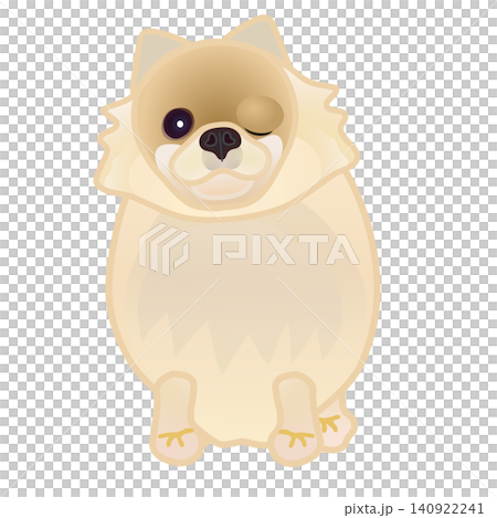 博美犬插圖 博美犬插圖 140922241