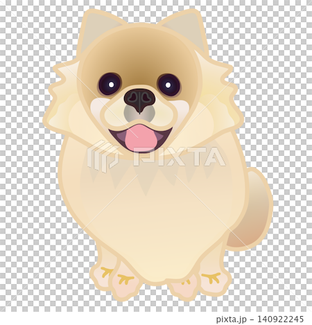 博美犬插圖 博美犬插圖 140922245