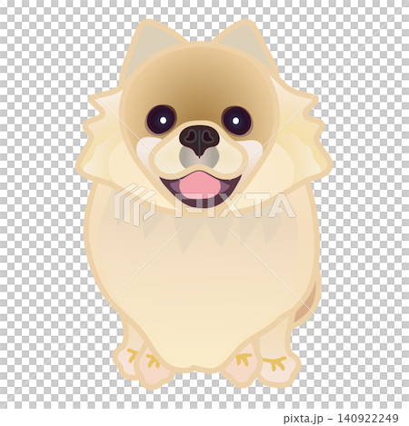 博美犬插圖 博美犬插圖 140922249
