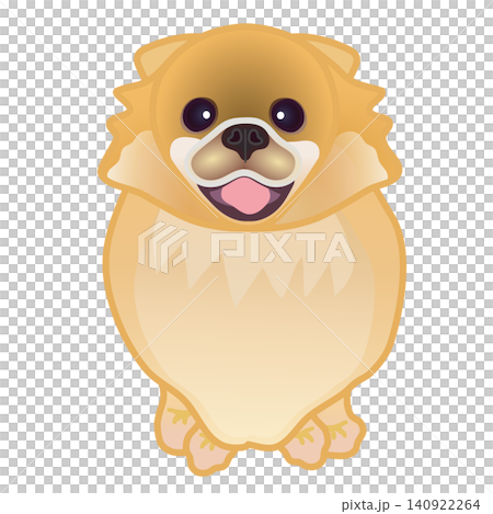 博美犬插圖 博美犬插圖 140922264