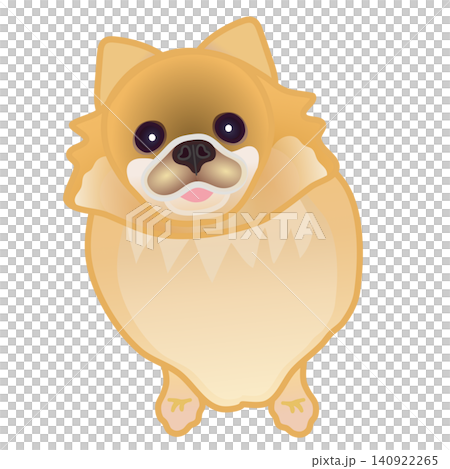 博美犬插圖 140922265