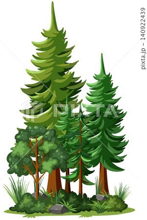 Cartoon Forest Vector Illustration with Evergreen and Deciduous Trees Cartoon Forest Vector Illustration with Evergreen and Deciduous Trees 140922439