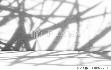 Background wall floor shadow grey leaf white light kitchen abstract studio product minimal room marble mockup display stage scene platform shelf space pattern backdrop table autumn summer travel. 140922784