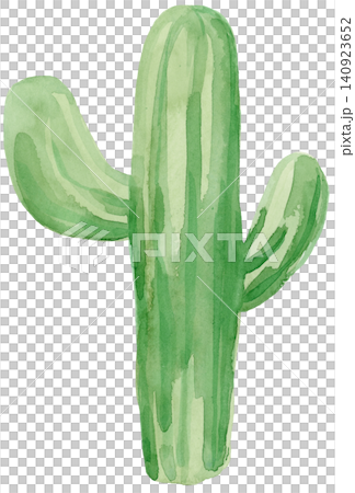 Watercolor Green Cactus Hand Painted Element Watercolor Green Cactus Hand Painted Element 140923652