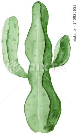 Thick Green Cactus Watercolor Element Thick Green Cactus Watercolor Element 140923653