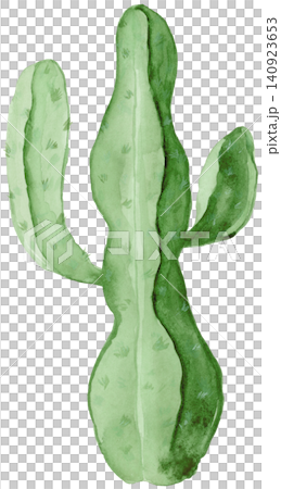 Thick Green Cactus Watercolor Element Thick Green Cactus Watercolor Element 140923653