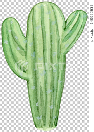 Watercolor thick green cactus element Watercolor thick green cactus element 140923655