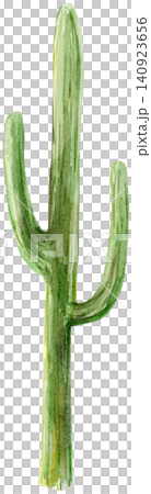 Watercolor Green Thin Cactus Element Watercolor Green Thin Cactus Element 140923656